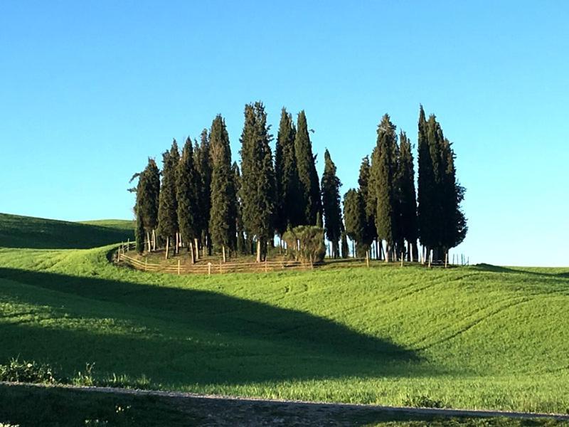 Finestra Sulla Val D'Orcia Lejlighed San Quirico d'Orcia Eksteriør billede